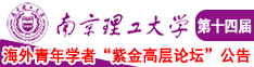 少萝被日南京理工大学第十四届海外青年学者紫金论坛诚邀海内外英才！